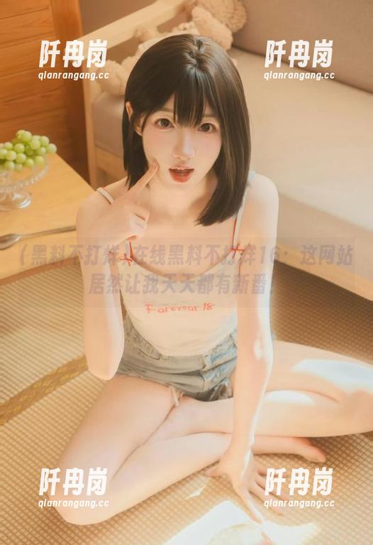 在线黑料不打烊16：这网站居然让我天天都有新番！